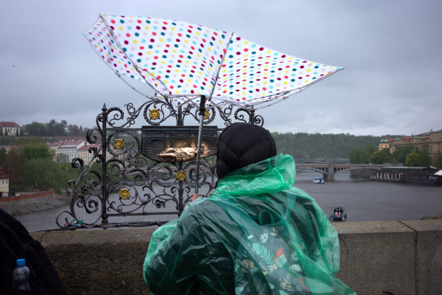 umbrella