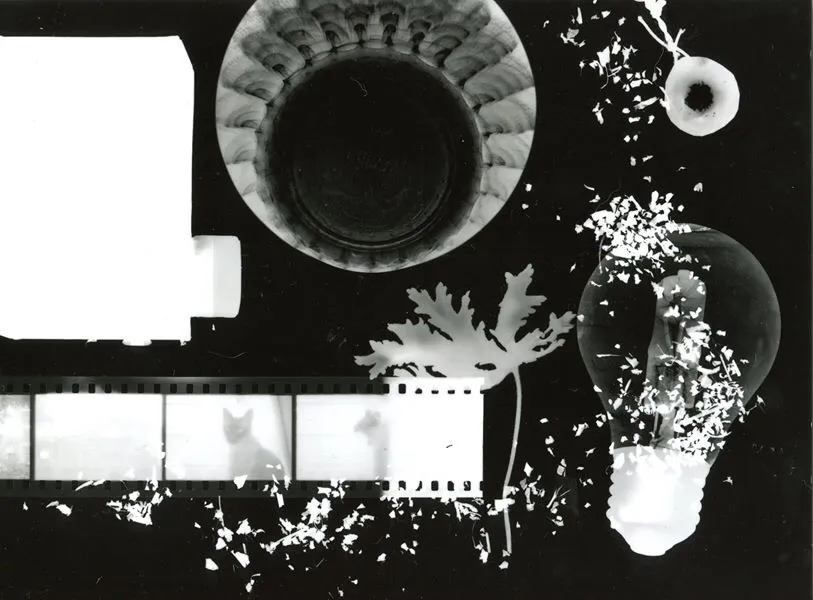 photogram